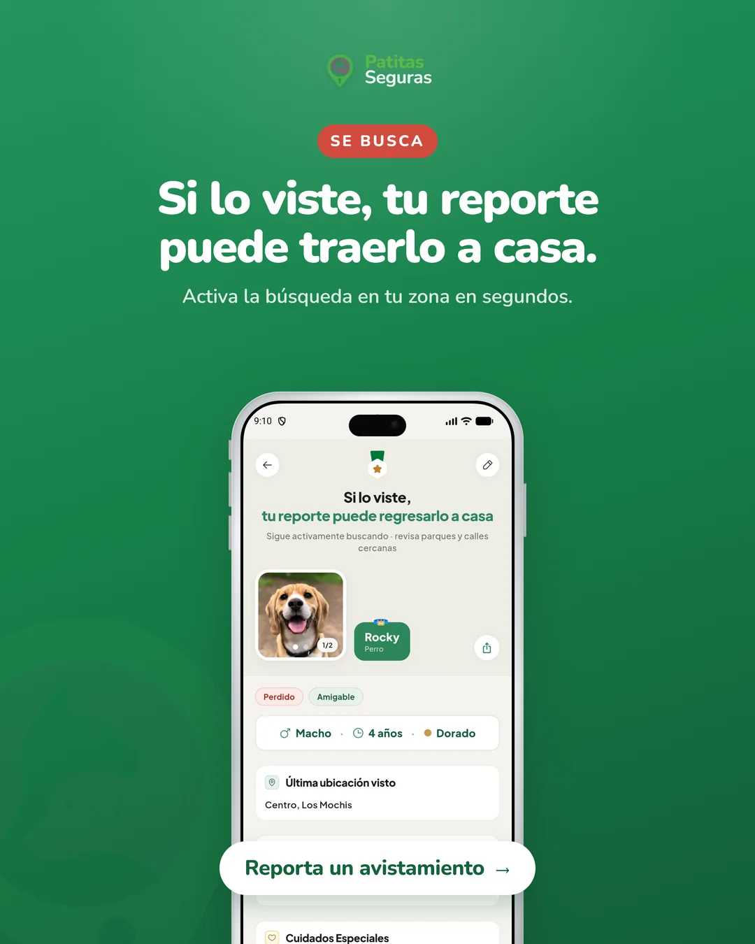 Se busca: si lo viste, tu reporte puede traerlo a casa. Activa la búsqueda en tu zona en segundos. Ficha de mascota perdida de Patitas Seguras.
